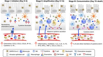 Preventing Mortality in COVID-19 Patients: Which Cytokine to Target in a Raging Storm?